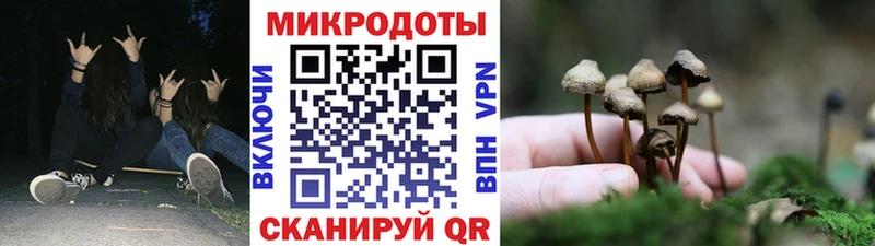 Галлюциногенные грибы GOLDEN TEACHER  мега сайт  Кондопога 